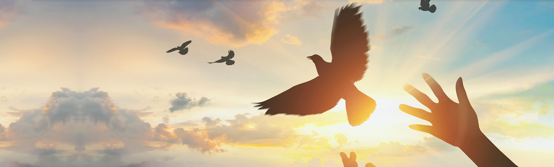 尊龙凯时-人生就是搏中国官方网站